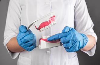 Close-up of gloved hands presenting a dental model with upper and lower teeth, used for patient education on oral health.